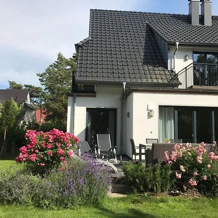 House Dune Forest B