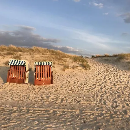 Apartment House Dune Forest B *